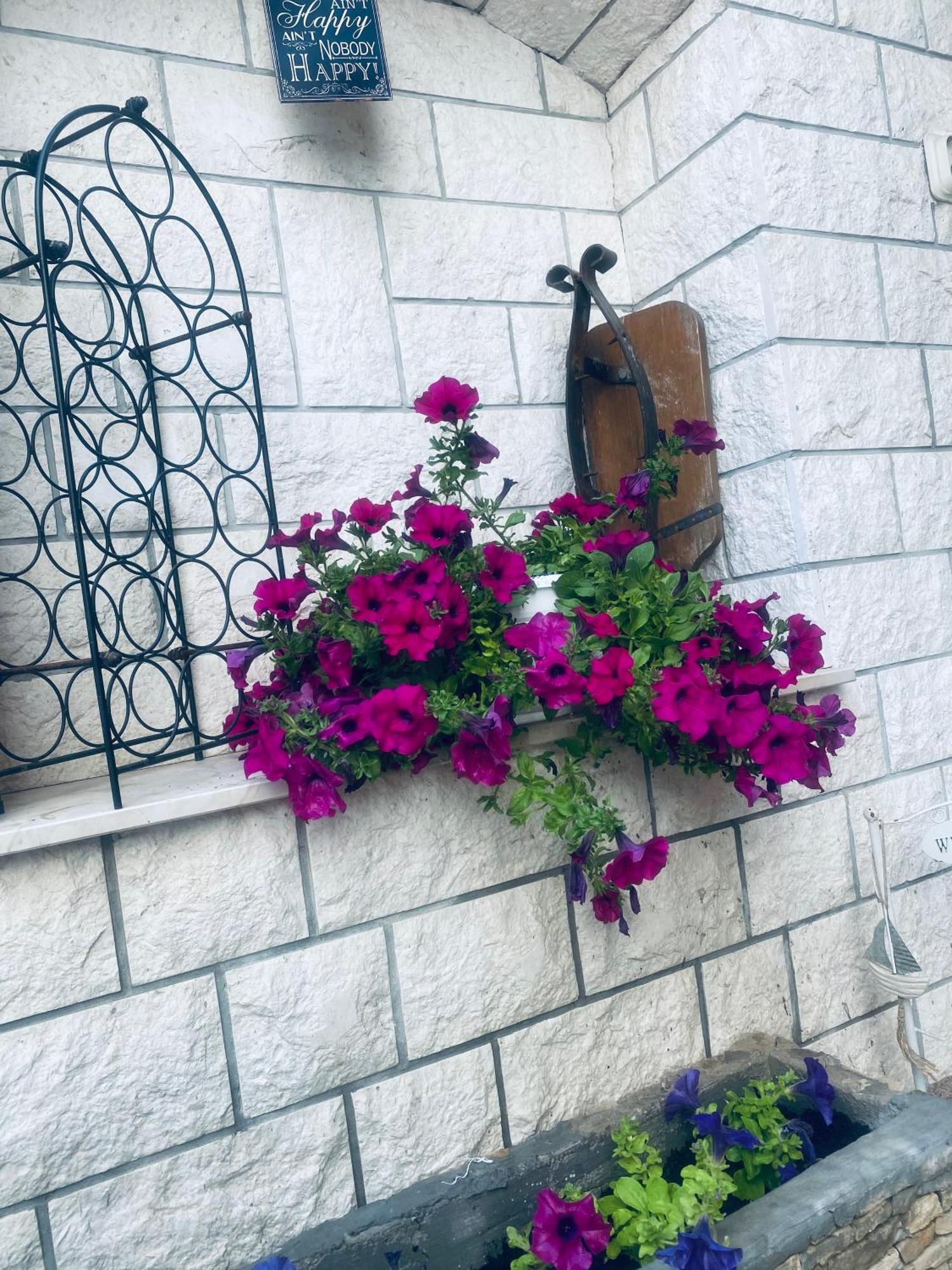 Apartmani Linda ヴォディツェ エクステリア 写真